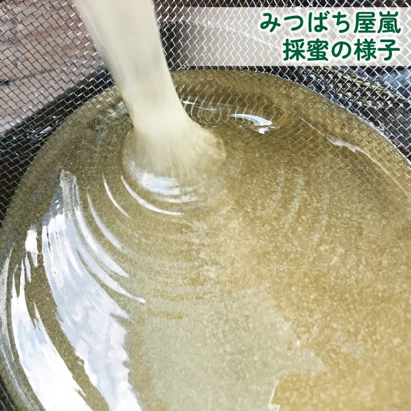 国産純粋はちみつ 嵐 の はちみつ 天然 100％ 3種 セット 百花蜜 地蜜 河内晩柑 みつばち屋嵐  F022-129001