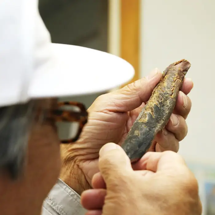【かつおぶしの永井】《絶品ふりかけ》漁師町の朝ごはん『海苔とかつおぶしと昆布』４袋　[0010-0144]