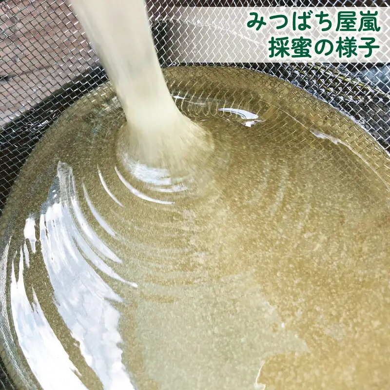 嵐 の はちみつ 天然 100％ 地蜜 みつばち屋嵐 非加熱 はちみつ F018-129004