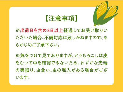 【ふくおかエコ農産物認証】農家直送！SDGs米糠堆肥で作ったベビーコーン50本【2026年5月より順次出荷】_ふくおかエコ農産物 2026年5月より順次出荷 農家直送 ベビーコーン とうもろこし 50本 メロンより 甘い プレミアムコーン シャキシャキ 食感 旬の味 八宝菜 サラダ 野菜 オーブン焼き レンチン お取り寄せ 酒見農産 福岡県 久留米市 送料無料 〔Gv036〕