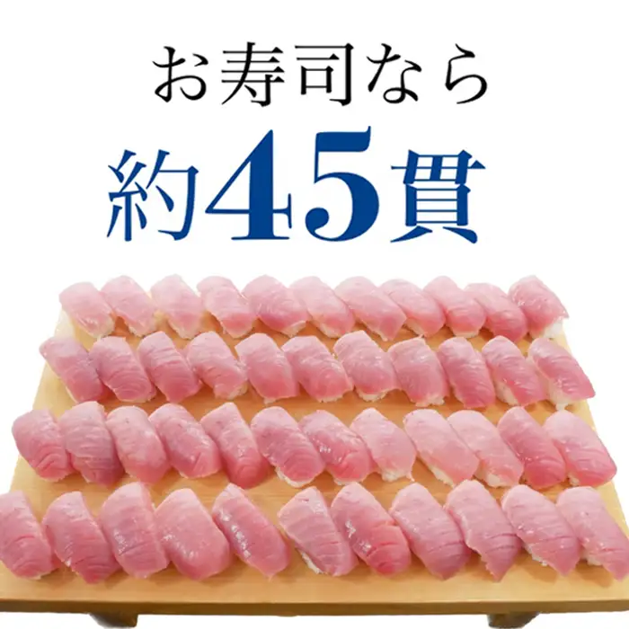 【プロが厳選！】メバチマグロ 中トロ 600g(冷凍・サク) [0019-0010]