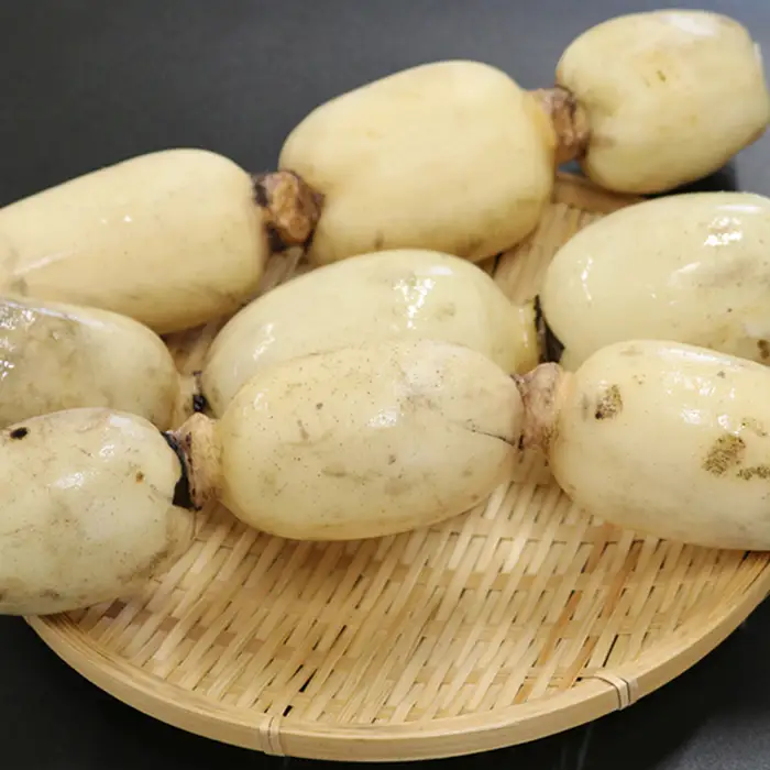 【鴨川サラダれんこん】れんこんパウダー 100g×4袋 [0010-0260]