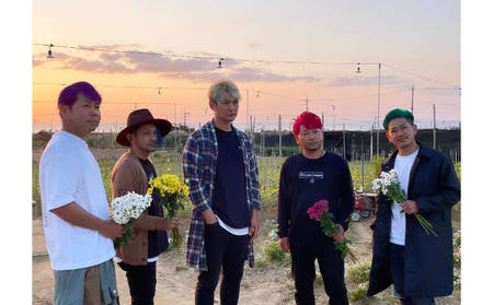 【SUNSET FARM OKINAWA】オーガニックバタフライピー(5g入り) ✕6袋