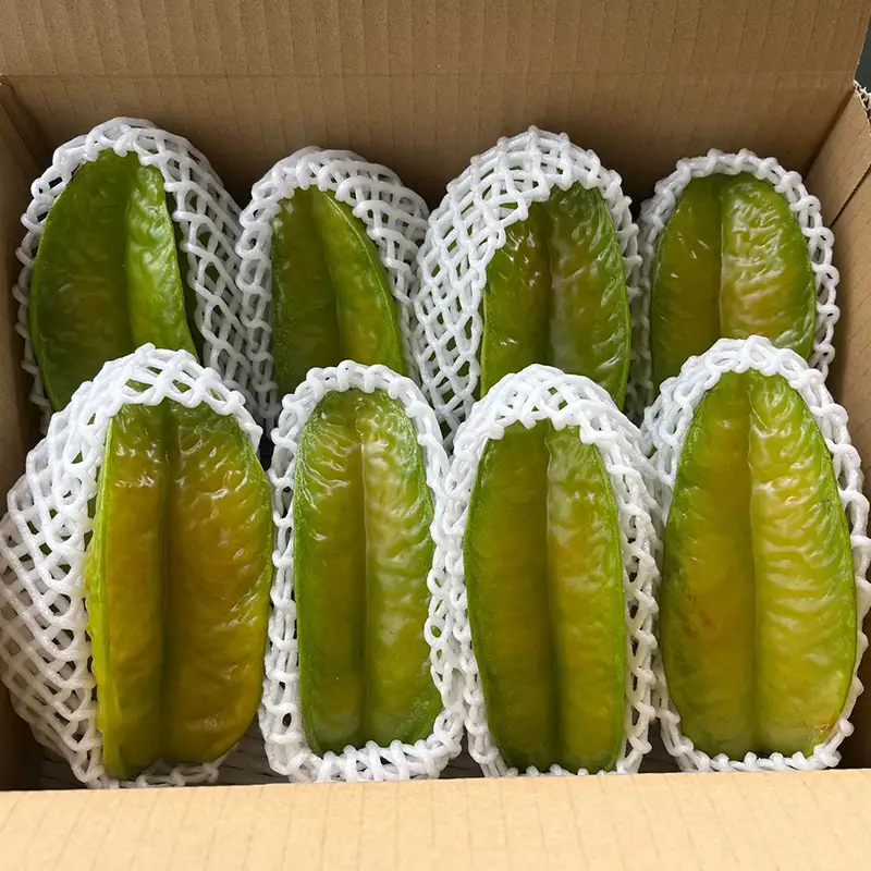 沖縄県産 スターフルーツ約2kg (6～12玉) - 果物 フルーツ 南国 スターフルーツ 五歛子 厳選 沖縄県 八重瀬町