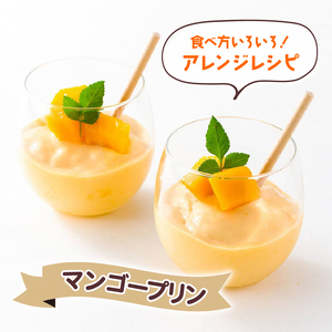 冷凍 完熟 マンゴー 500g マンゴー
