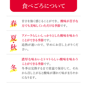 先行予約 ミニトマト アメーラトマト ルビンズ セット