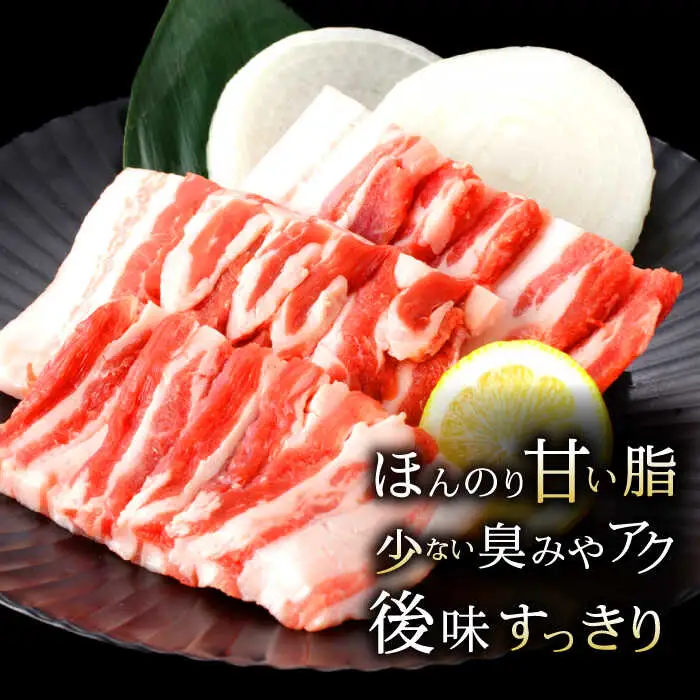 諫美豚焼肉セット計1.2kg / 豚肉 ぶたにく ロース バラ モモ 焼肉 小分け / 諫早市 / 株式会社土井農場 [AHAD057]