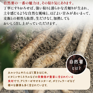 【7日以内発送】 とろろ 味付けとろろ 285g × 12個  尾白弁当 【とろろ】