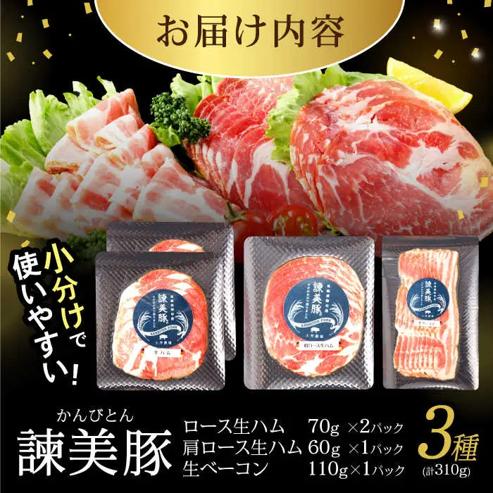諫美豚 生ハム＆生ベーコン 3種セット計4P / 豚肉 ぶたにく ハム はむ 生ハム ベーコン 生ベーコン ロース 肩ロース バラ 小分け / 諫早市 / 株式会社土井農場 [AHAD058]