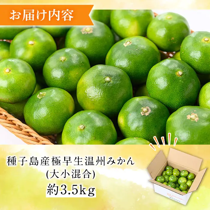 温州みかん 約3.5kg サイズ大小混合 極早生 鹿児島 蜜柑 ミカン 【提果樹園】n132