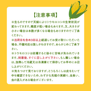 【ふくおかエコ農産物認証】農家直送！SDGs米糠堆肥で作った博多あまっコーン4.5キロ以上（10～15本）【2026年6月より順次出荷】_ふくおかエコ農産物 2026年6月より順次出荷 とうもろこし 博多あまっコーン 約 4.5kg 以上 10本 ? 15本 プレミアムコーン 粒が大きい 食べ応え 美味しい 糖度 野菜 お取り寄せ 福岡県 久留米市 送料無料 〔Gv035〕