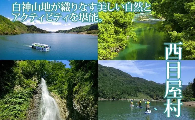 水陸両用バスダムレイクツアー乗船券津軽白神湖水陸両用バス