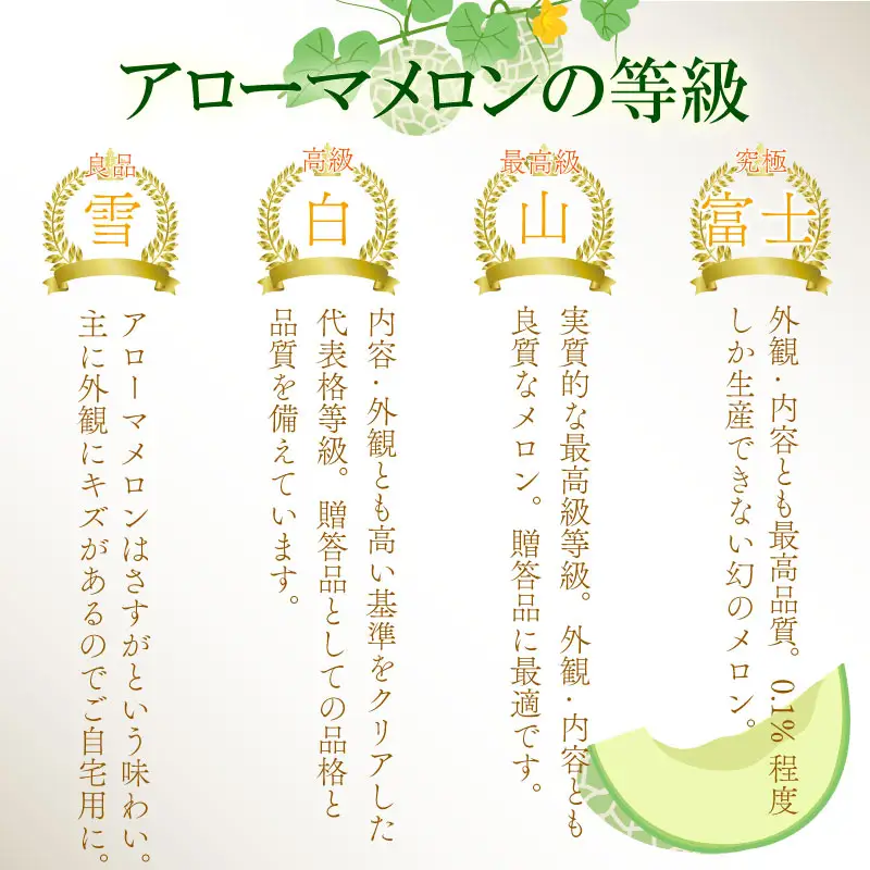【通年出荷】 高級 マスクメロン 白級 1玉  化粧箱入  化粧箱入 贈答用 牧之原市 静岡県 牧之原うまいもん食楽部