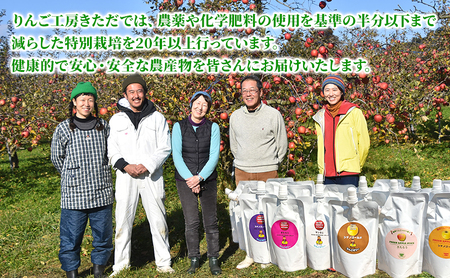 りんご ジュース ゼリー セット 20パック 盛岡りんご フルーツジュース 果汁飲料 飲み物 りんごゼリー アップルジュース アップルゼリー フルーツゼリー 国産 無添加 100％ ストレート 岩手県 盛岡市 東北 岩手 盛岡 りんご工房きただ