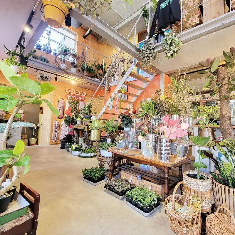 花苗 季節 の 花苗バスケット Flowershop Poppy 花 花苗 花 苗 寄植え 生花 フラワー Flower 雑貨 インテリア 誕生日 記念日 プレゼント 贈り物 フラワーライフ 自宅用 アレンジメント ガーデニング 園芸 ギフト 国産 愛媛 宇和島 K012-125002
