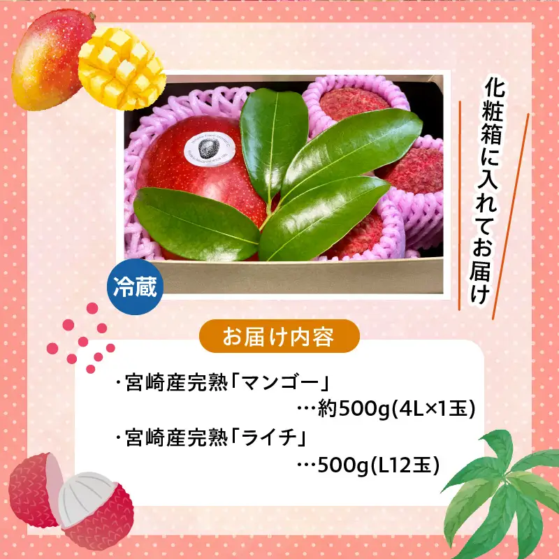 《2026年発送先行予約》【数量・期間限定】宮崎マンゴー4L×1・宮崎ライチ12玉 果実 フルーツ ギフト