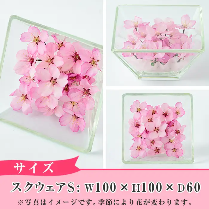 ボトルフラワー スクウェア(S)【AT003】【ボトルフラワーatelier4-flowers】