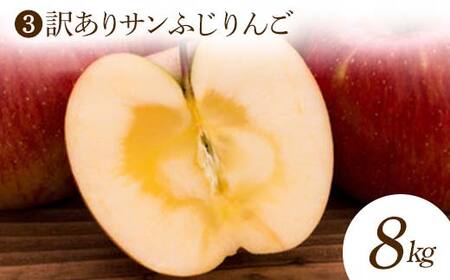 【2026年発送 先行予約】秋の訳あり くだもの定期便 (全3回) マスカット ぶどう ブドウ 葡萄 デザート フルーツ 果物 くだもの 果実 食品 山形県 FSY-2698