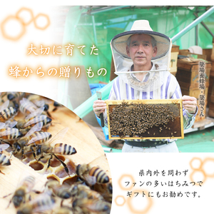 簗場養蜂場 非加熱 生はちみつ アカシア とち 300g 各1本 【あねっこ】 純粋 蜂蜜 はちみつ ハチミツ ハニー 600g 国産 国内産 日本産 ボトル 長期保存 産地直送 アカシヤ トチ 栃 栃蜜 とち蜜 蜜 みつ ミツ 人気 稀少 希少 お取り寄せ プレゼント 贈り物 仕送り 家庭用 自宅用 常温発送 調味料 隠し味 おすすめ