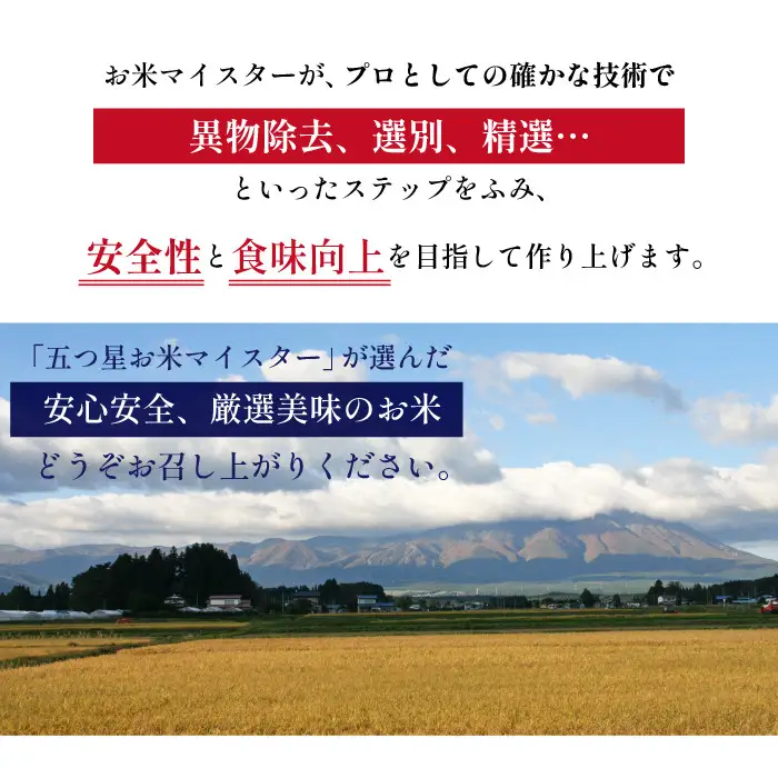 五ツ星お米マイスター 厳選 岩手県産 金銀セット 精米 食べ比べ 総量 6kg 【諏訪商店】 米 こめ コメ 金色の風 銀河のしずく 白米 ご飯 ごはん ライス グルメ 食料 五つ星 5つ星 5ツ星 お米 マイスター 6キロ 2kg 2キロ 国産 県産 プレゼント お取り寄せ 仕送り 人気 おすすめ