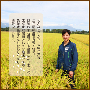 令和7年度産 ひとめぼれ 玄米10kg 3ヶ月定期便 ／ 岩手県産 国産 雫石町 産 農家 直送 産地 直送 米 こめ コメ ごはん ライス らいす ご飯 穂々ファーム