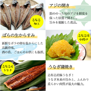 贅沢！志布志湾でとれた新鮮なミズイカ、ちりめんなどを使用した塩からに鹿児島産鰻など８種のセット b5-015