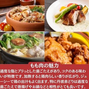鶏肉 12回定期便 丹波赤どり もも肉 1kg×4パック×12回 丹波山本 鶏肉 国産鶏肉 鶏肉 亀岡産鶏肉 訳あり鶏肉