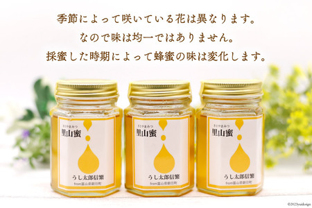 里山蜜 160g×1本