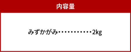 【令和7年度産】肥料屋厳選近江米みずかがみ２㎏　モリタ肥料店 お米 近江米 DI-0005