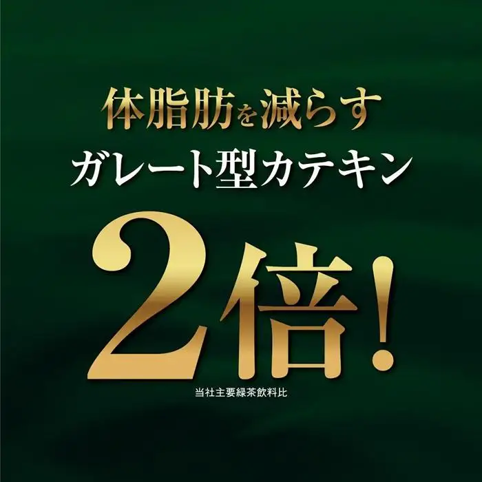 （9月30日受付終了）【機能性表示食品】お～いお茶 濃い茶 1L×2ケース 24本 おーいお茶