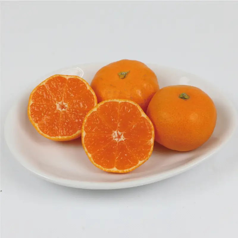 【ご家庭用】完熟プチみかん約5kg杉本屋 | みかん B010-143003