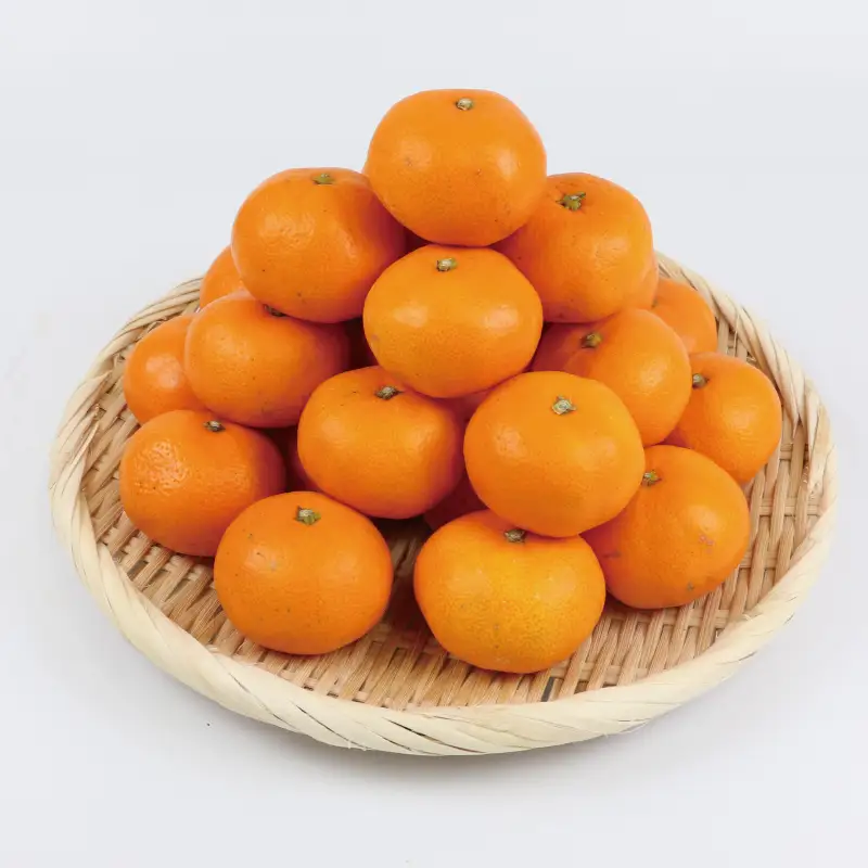 【みかん】訳あり完熟早生5kg杉本屋みかん|B010-143004
