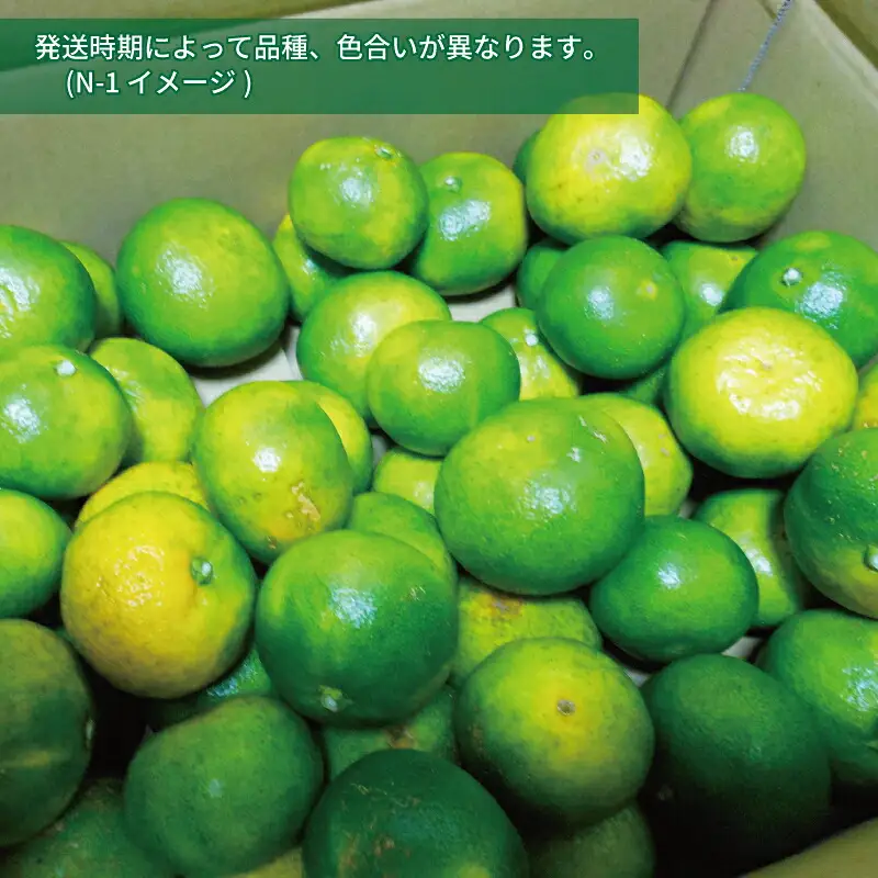 極早生みかん 5kg 先行予約 栽培期間中 農薬 化学肥料 除草剤 不使用 なかい果樹園 極早生みかん B012-144001