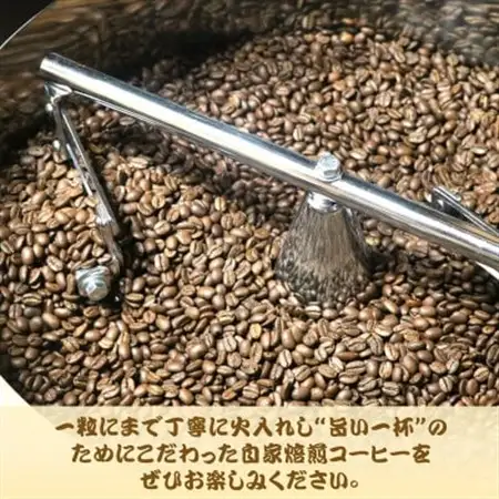 自家焙煎スペシャルティコーヒー(豆)【焙煎度】3種飲み比べセット100g×3袋【1392608】