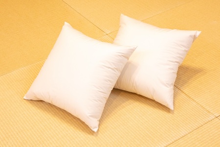 白州洗いの羽毛クッション　2個セット　ダウン50％ 50×50ｃｍ　740g クッション 羽毛 2個セット 50×50ｃｍ ダウン 50％ 740g ホテル仕様 日本製 白州洗いの羽毛クッション 新生活 [h126]