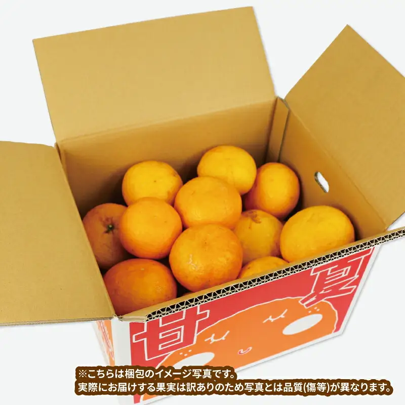 訳あり 甘夏 約 10kg マル南フルーツ 甘夏 B010-106026