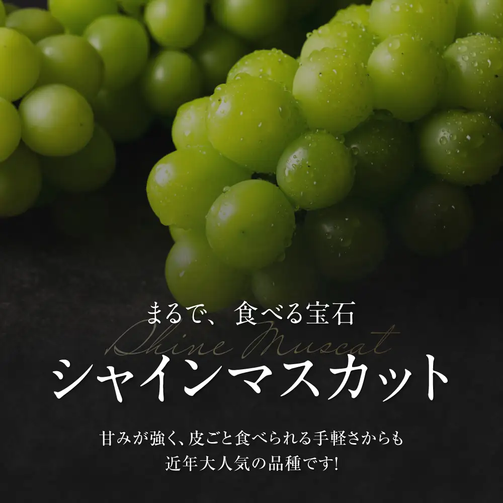 紅まどんな【全2回定期便】シャインマスカット＆紅まどんな [AGAO015]