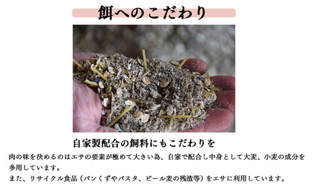 無添加 5大アレルゲン不使用 ばあく豚 焼肉 とソーセージ BBQ セット | 肉 にく ニク お肉 焼肉 奈良県 五條市 手作り 無添加 奈良県 金剛山麓 冷凍 甘味 お取り寄せ グルメ 送料無料 手作りハム・ソーセージ工房ばあく 手作り 加工品 豚 ポーク スパイス 山桜 スモーク 自慢 骨付きソーセージ 安心 にんにく たまねぎ とんかつ トンカツ バーベキュー こだわり