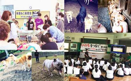 【返礼品なし】【犬猫等愛護活動 犬と猫と人にとって住みよい社会づくりを応援】宮崎県 高原町 特定非営利活動法人 咲桃虎(さくもんと)　TF3005-P00056