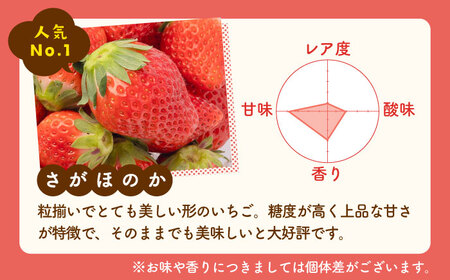 先行予約 2027年1月～発送 赤白いちご食べ比べセット！ /  いちご [IAP028]