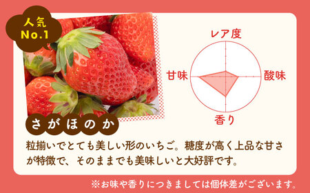 【先行予約 2027年3月〜発送】【3回定期便】赤白いちご食べ比べ！ いちご