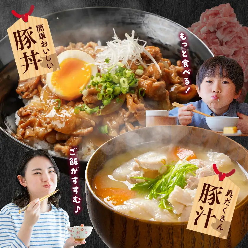 国産豚肉切り落とし5kgラッキーセット〔19-3601〕豚肉 _(都城市) 250g×20袋 5kg 