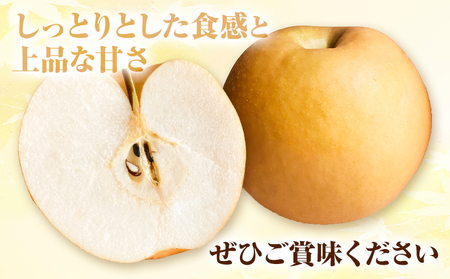 あたご梨 約4kg【配送不可地域あり】 梨