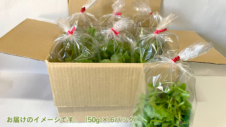 黒澤農園 の ベビーリーフサラダ （ 50g × 6パック ） 使い切りサイズ