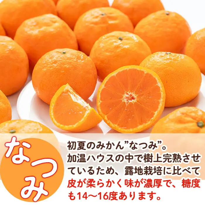 ＜先行予約受付中！2026年4月下旬から9月上旬順次発送予定＞なつみ(約5kg)ハウス 樹成 完熟 みかん 蜜柑 柑橘 かんきつ フルーツ 果物 くだもの【111600200】【永木農園】