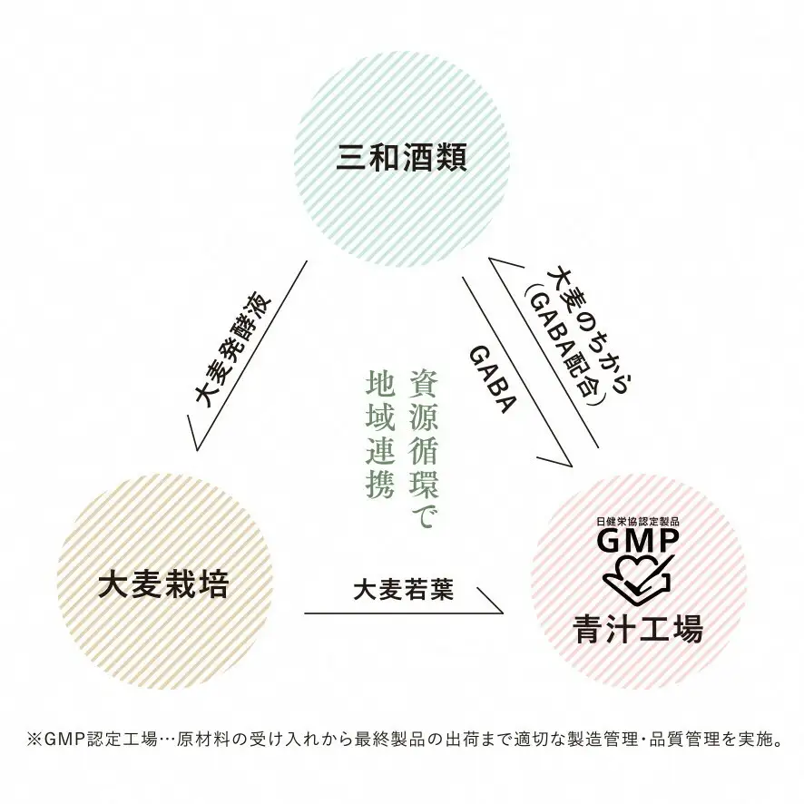 大麦若葉青汁 大麦のちから(計90g・3g×30袋)青汁 大麦若葉 GABA 飲料 粉末 常温【101601900】【江戸心本館USA　未来ファクトリー事業部】