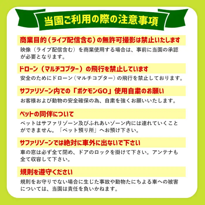 アフリカンサファリ入園券とオリジナルクリアファイルのセット(入園券(小人4枚)とクリアファイル)チケット 動物園 サファリパーク形動物園 家族旅行 デート 観光【110600800】【九州アフリカ・ライオン・サファリ】