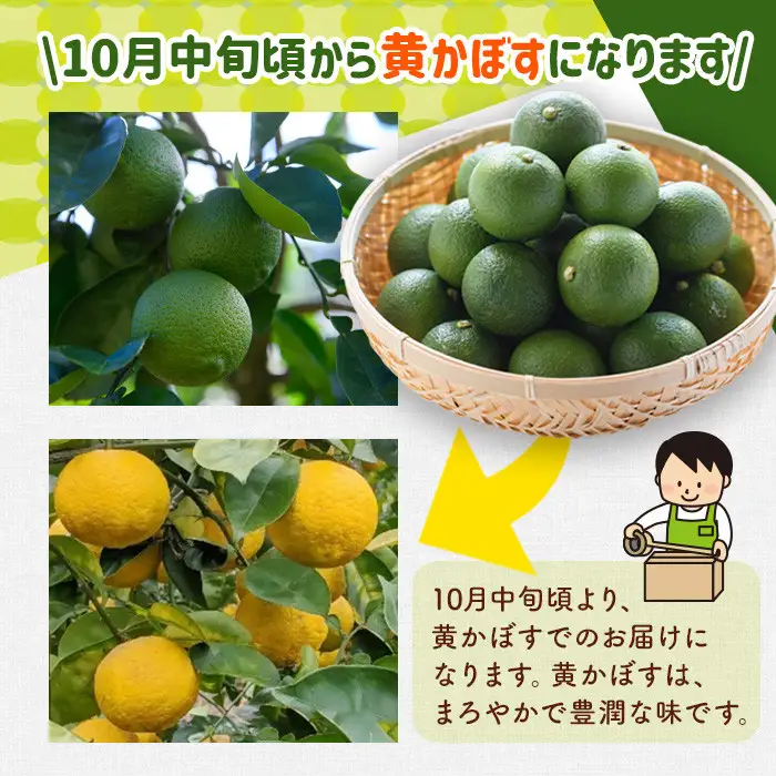 ＜先行予約受付中！2026年8月上旬以降順次発送予定＞露地カボス(約5kg)かぼす カボス 柑橘 特産品 大分県産【107100403】【あいはな農園】