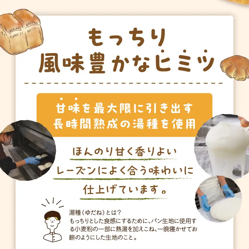 京都のパン パンドミレーズン 3斤（5枚切り15枚）