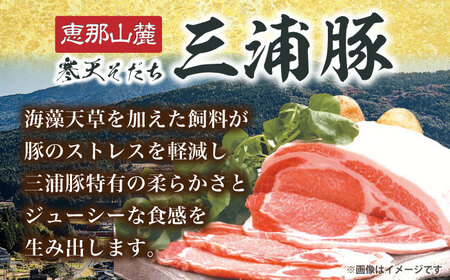 三浦豚 豚肉 ロース900ｇ（しゃぶしゃぶ用） / 恵那市 / あづま精肉店 [AUDL004]